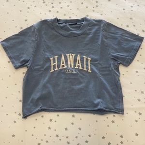 brandy melville Hawaii cropped tee